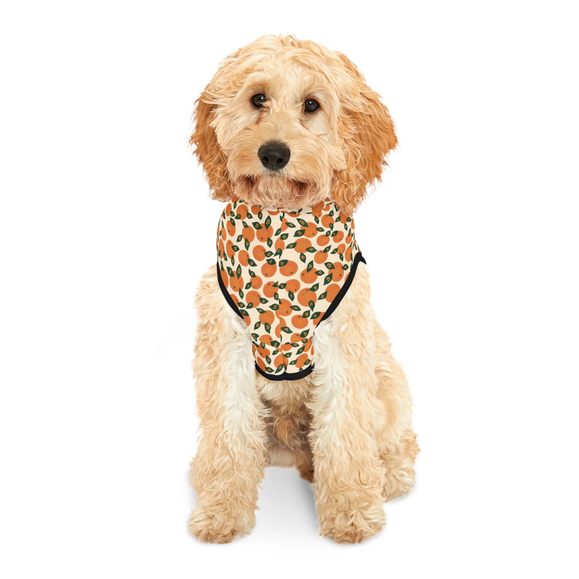 Orange Blossom Pet Hoodie — Cute Citrus Pattern Dog & Cat Hoodie