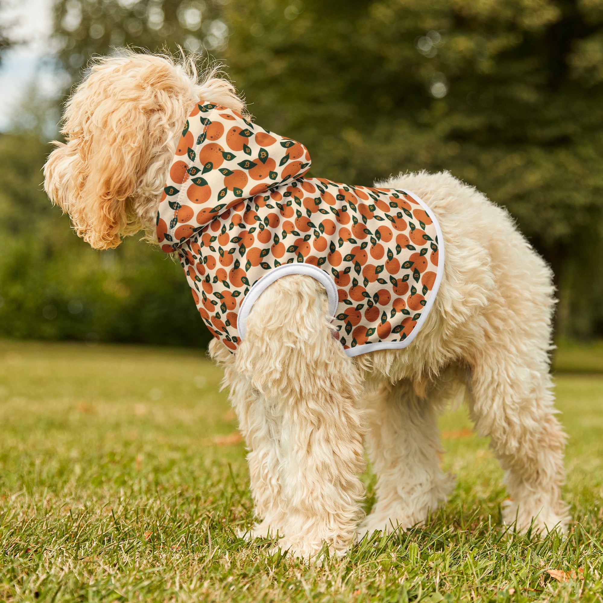 Orange Blossom Pet Hoodie — Cute Citrus Pattern Dog & Cat Hoodie