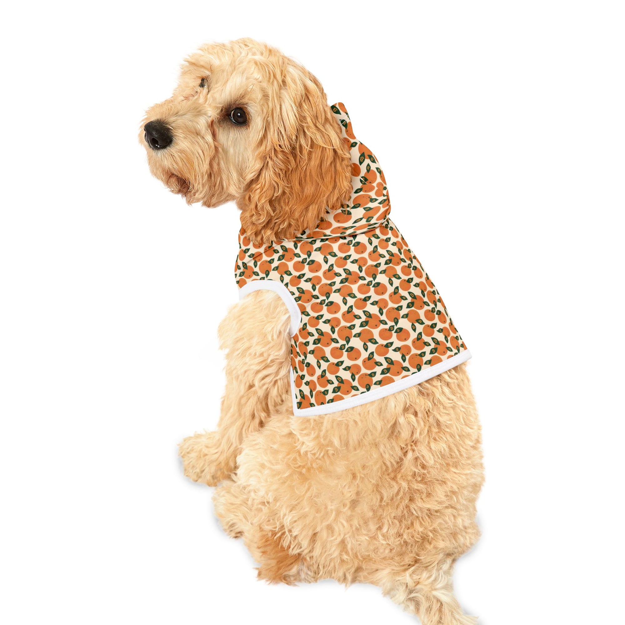 Orange Blossom Pet Hoodie — Cute Citrus Pattern Dog & Cat Hoodie