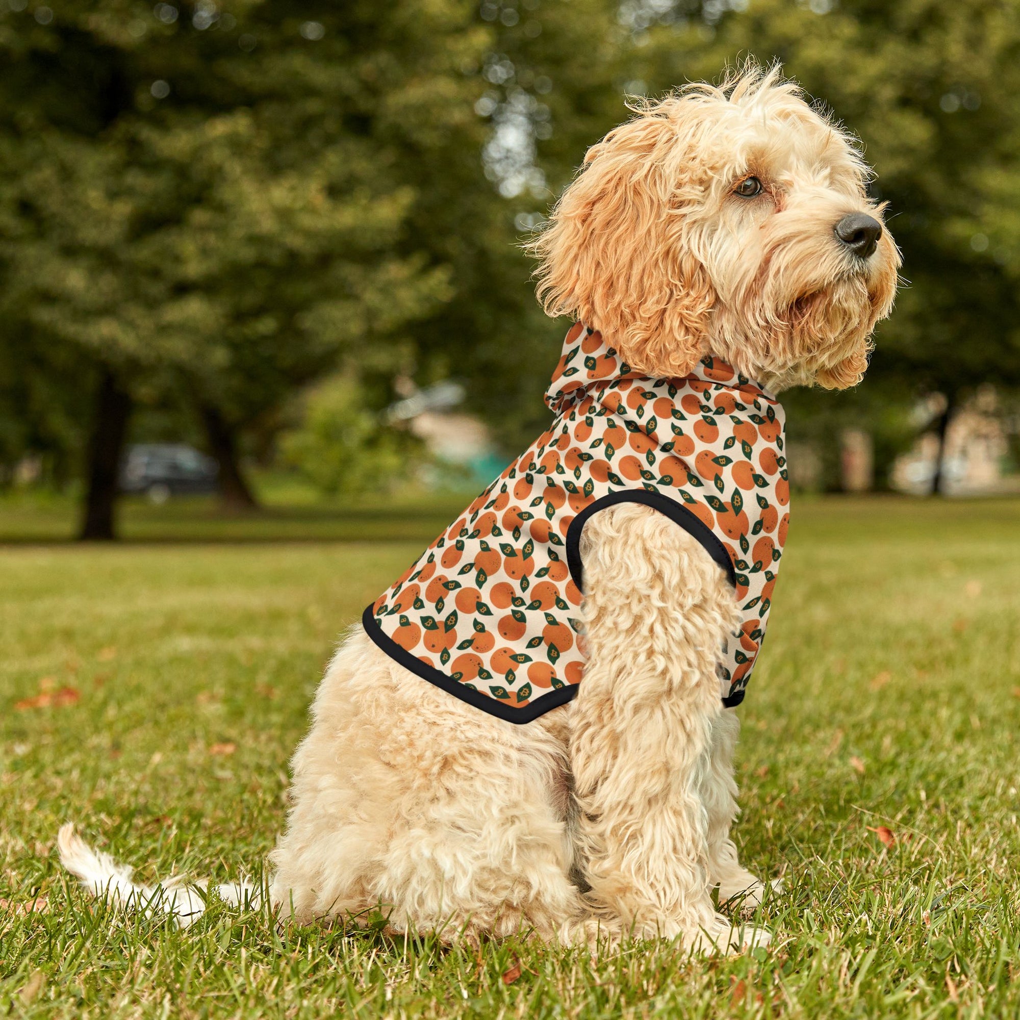Orange Blossom Pet Hoodie — Cute Citrus Pattern Dog & Cat Hoodie