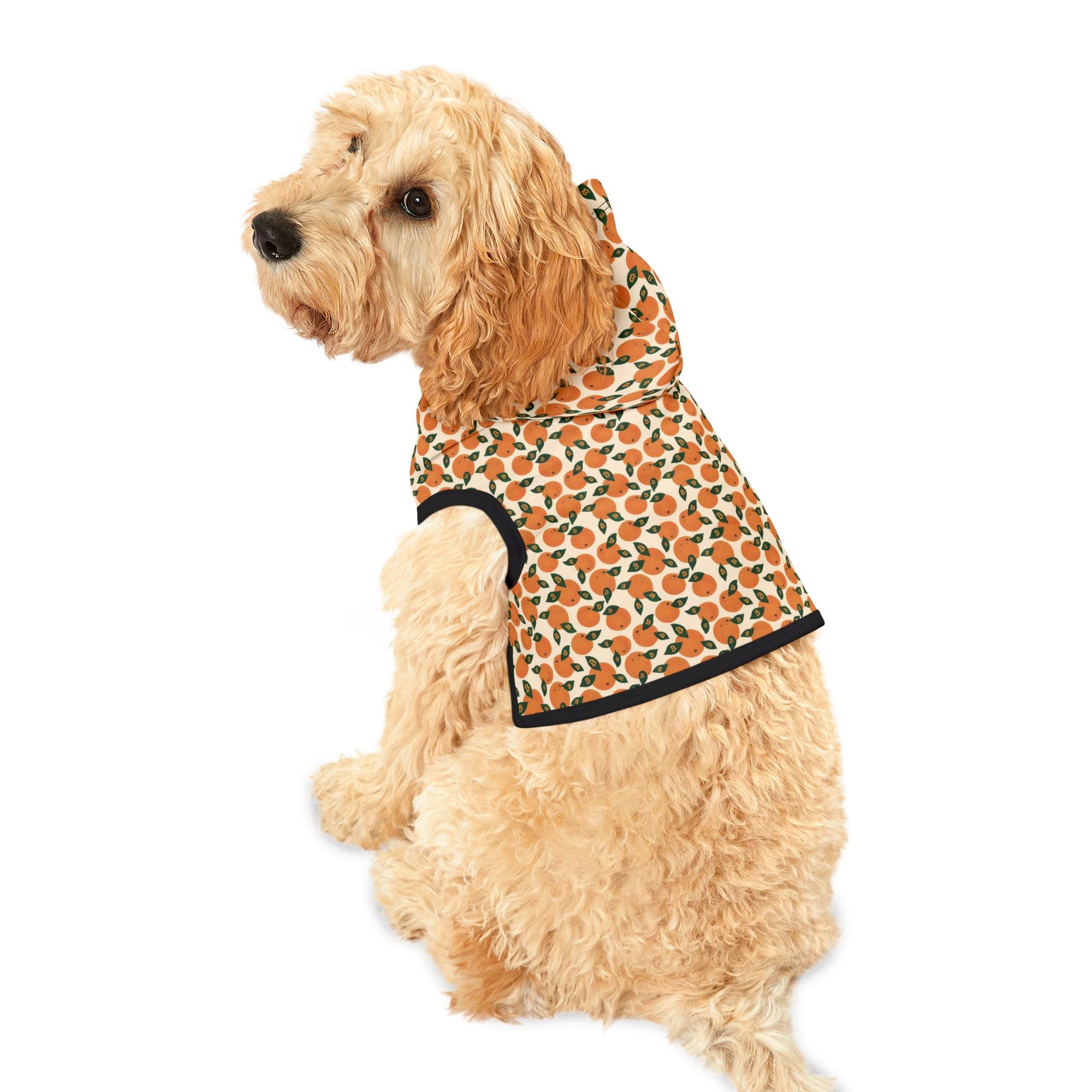 Orange Blossom Pet Hoodie — Cute Citrus Pattern Dog & Cat Hoodie