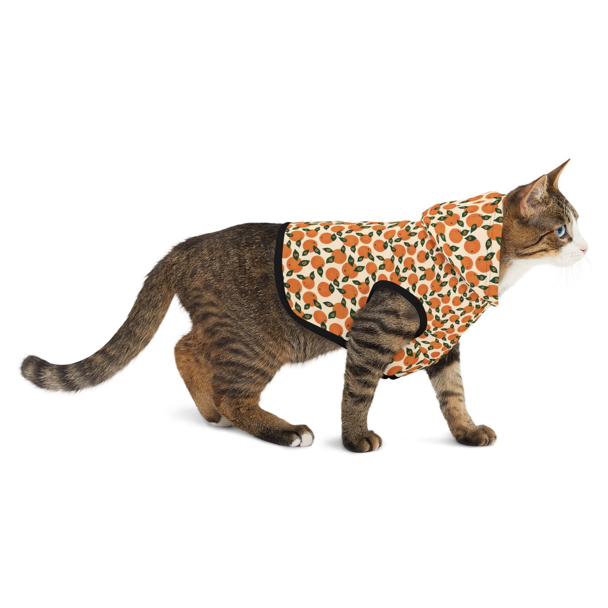 Orange Blossom Pet Hoodie — Cute Citrus Pattern Dog & Cat Hoodie