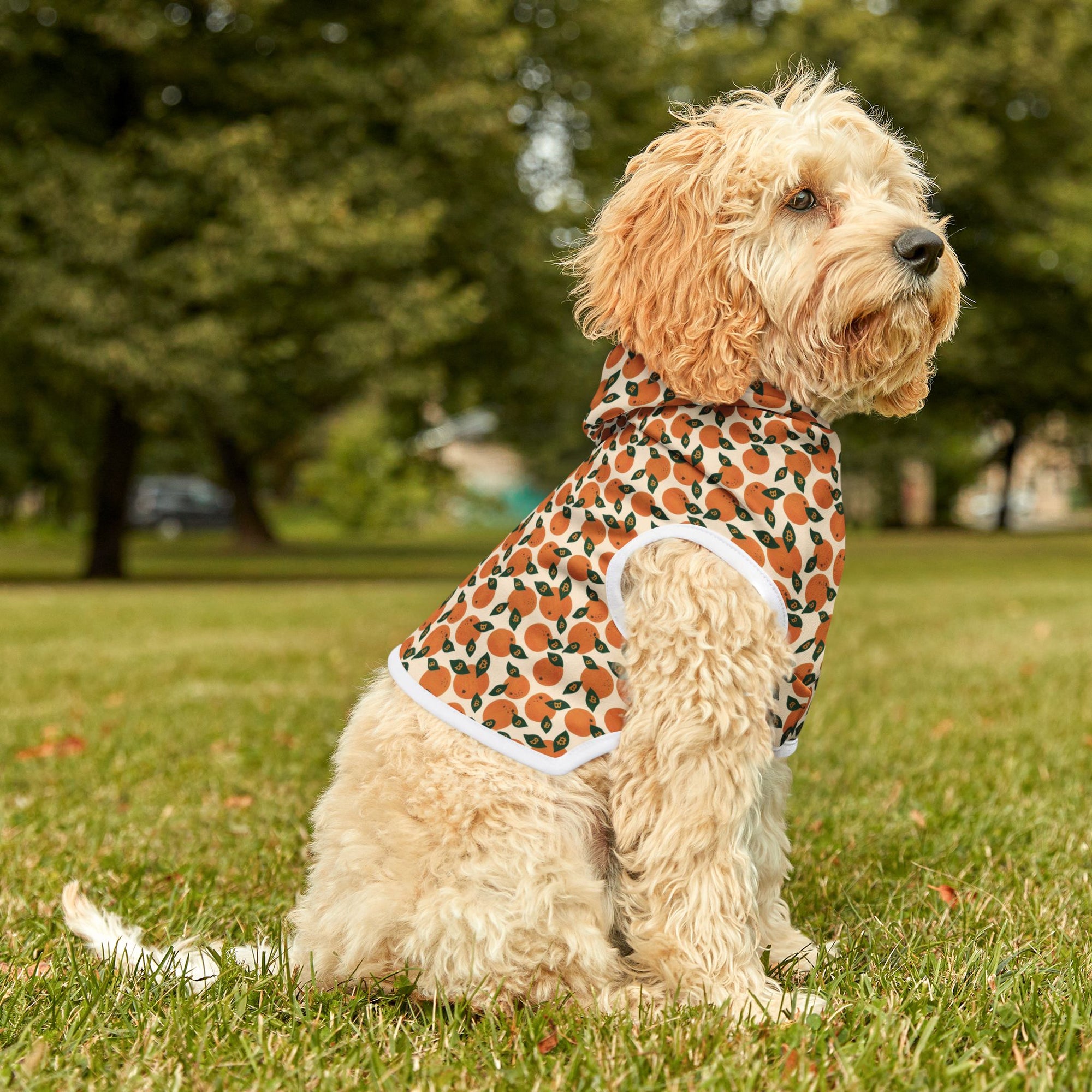 Orange Blossom Pet Hoodie — Cute Citrus Pattern Dog & Cat Hoodie