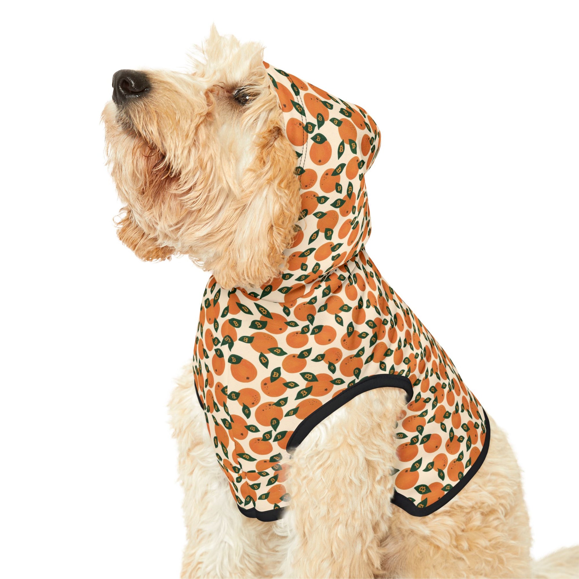 Orange Blossom Pet Hoodie — Cute Citrus Pattern Dog & Cat Hoodie