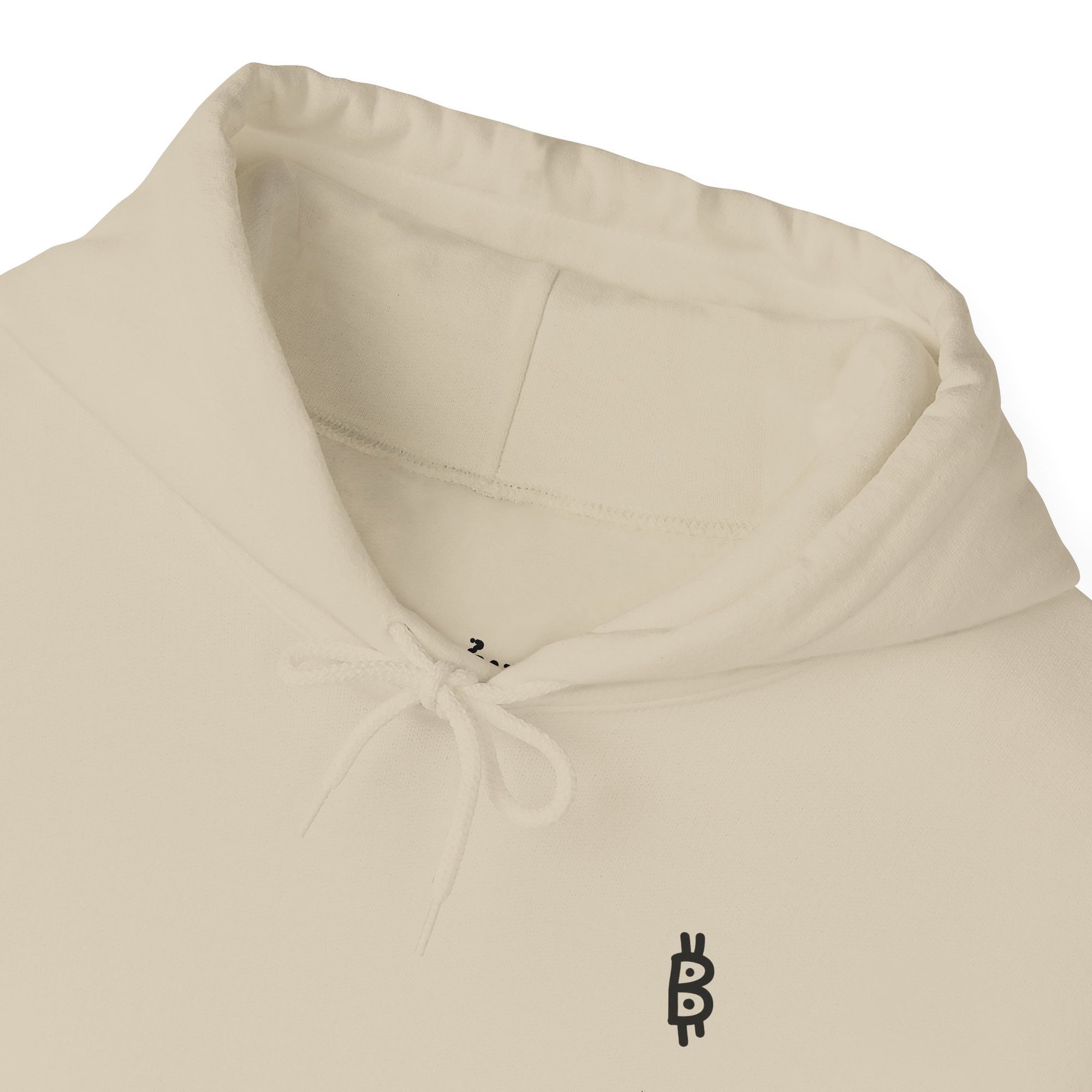 Bitcoin Turing Pattern / Reaction-Diffusion Hoodie