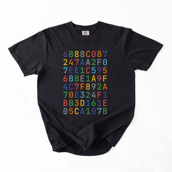 Custom SHA-256 Hashed Message T-Shirt · Color
